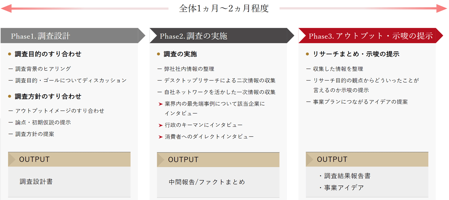 調査設計、実施、示唆の提示のスケジュール