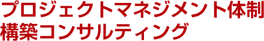 プロジェクトマネジメント体制構築コンサルティング